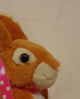 Voor kinderen