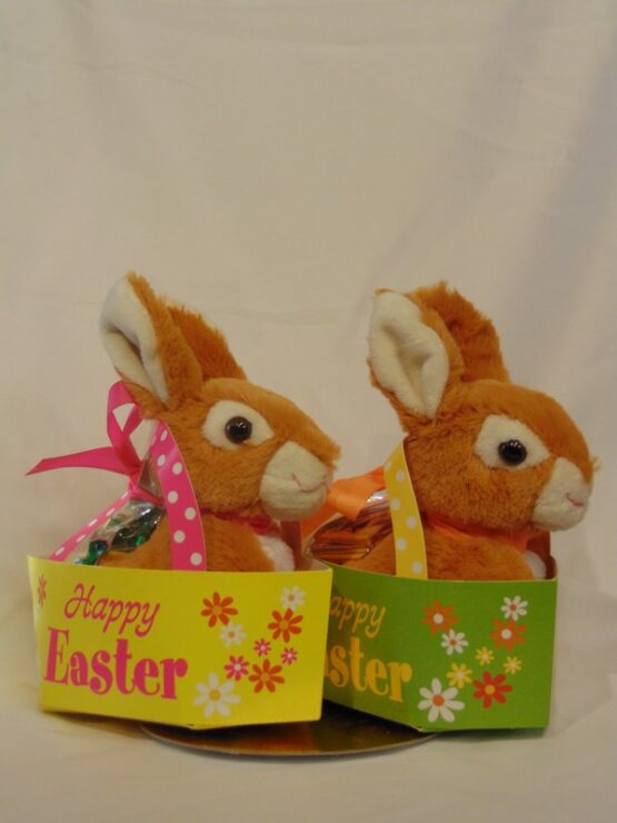 Roxanne en Mystique, konijntje in pluche met snoep