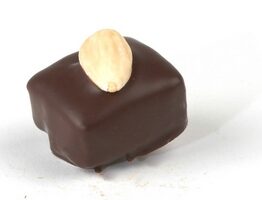 VDV Chocolaterie Pralines Belgische chocolade Online Bestellen Frivole marsepein en gekonfijt fruit