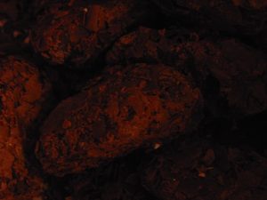 VDV Chocolaterie Truffels in pure chocolade