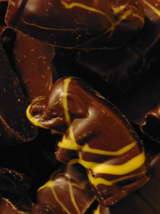 Zoodiertjes in fondant chocolade gevuld met advocaat alcohol Zoodiertjes gevuld met advocaat VDV Chocolaterie sint Sint Maarten Sinterklaas chocolade zoodiertjes fondant chocolade met advocaat