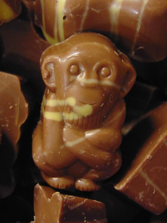 Zoodiertjes in melkchocolade gevuld met advocaat alcohol Zoodiertjes gevuld met advocaat VDV Chocolaterie sint Sint Maarten Sinterklaas chocolade zoodiertjes melkchocolade met advocaat