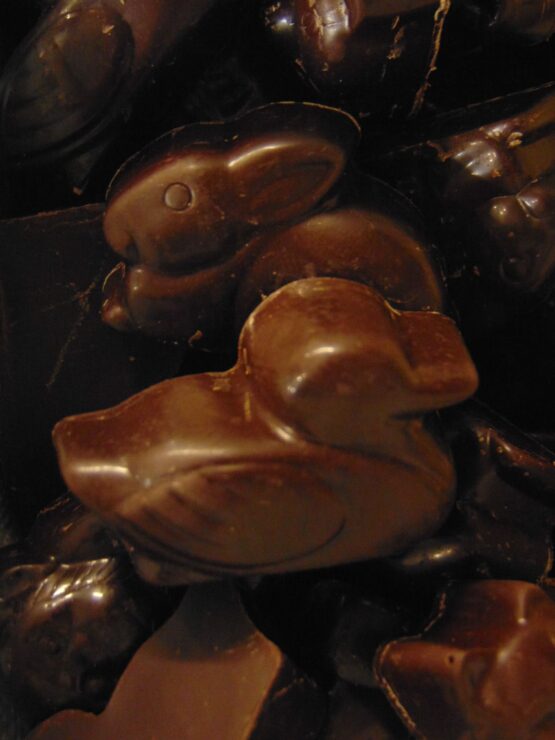 Zoodiertjes in melkchocolade gevuld met vanille VDV Chocolaterie sint Sint Maarten Sinterklaas chocolade melkchocolade zoodiertjes opgevuld met vanille