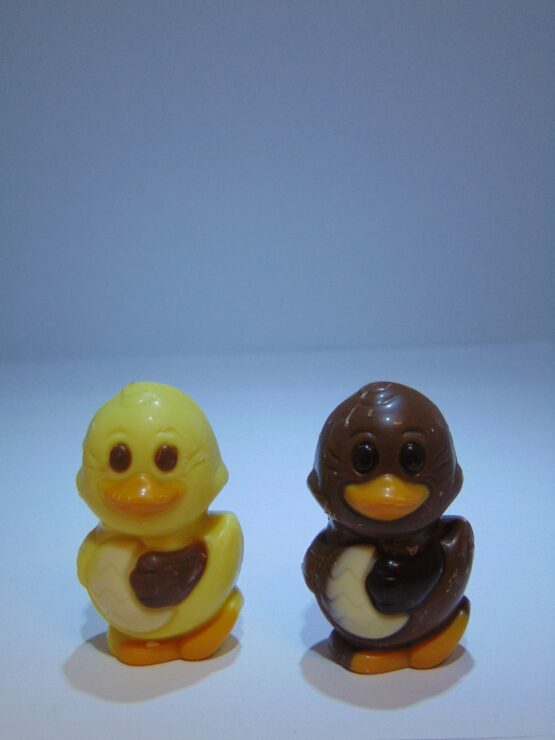 Flappy met praliné in witte of melkchocolade