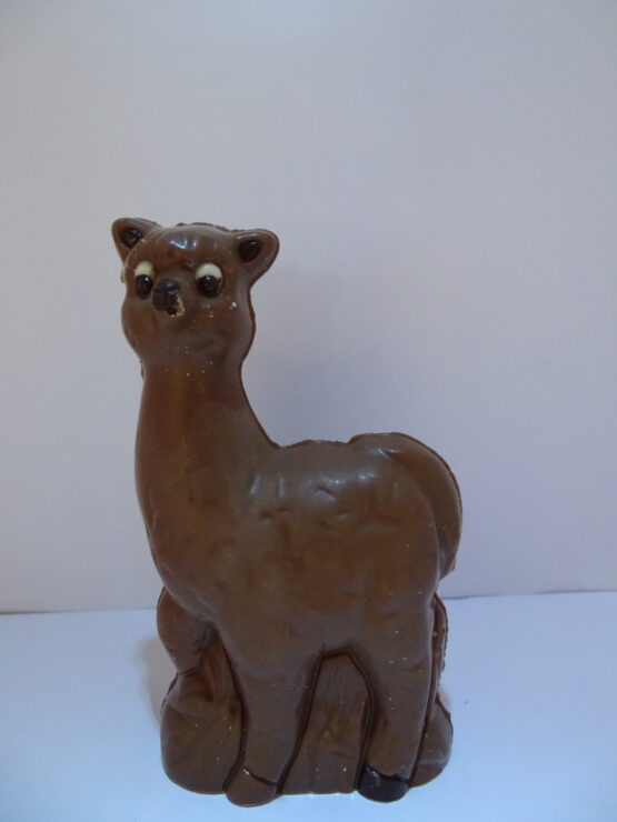 Pim, de alpaca in melkchocolade