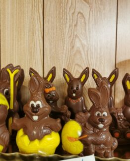 Gekleurd holgoed in melkchocolade
