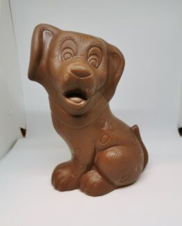 Sheriff, de dalmatiër in melkchocolade