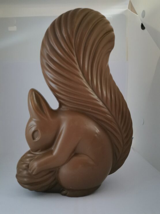 Eekhoorn in melkchocolade